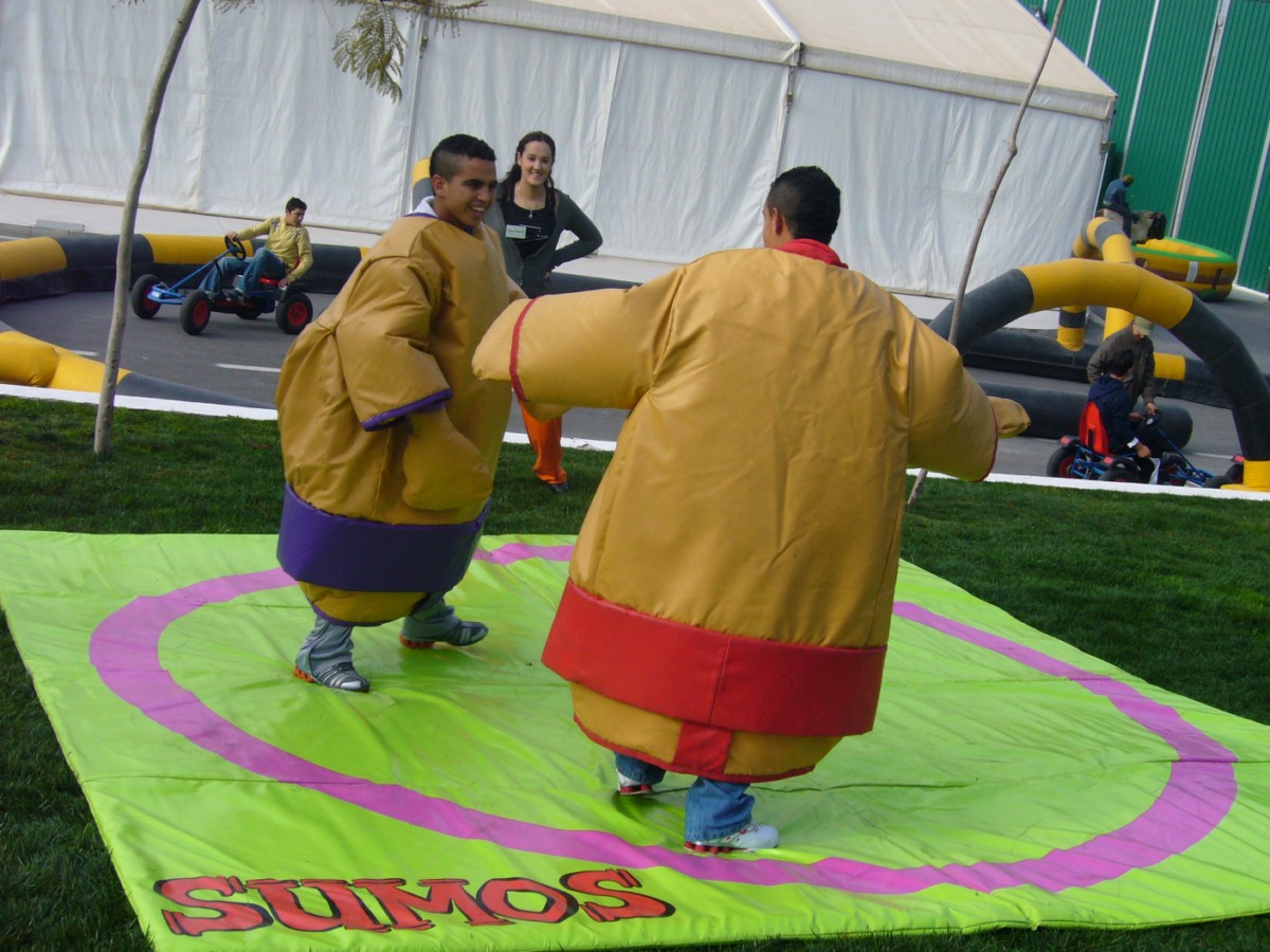 Sumo